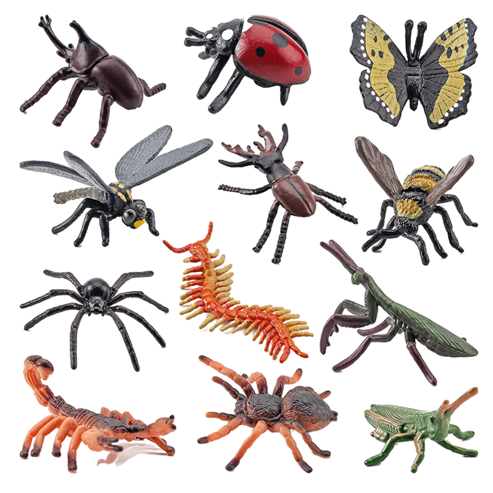 시뮬레이션 곤충 모델 장식 현실적인 곤충 그림 공포 할로윈 소품 어린이 교육 장난감